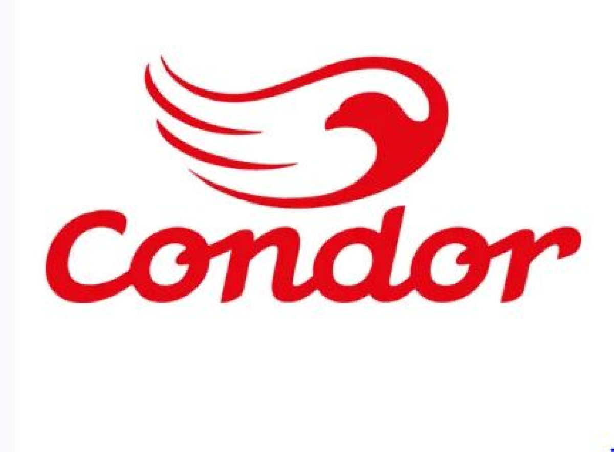 Vassoura Condor com Cabo - #3