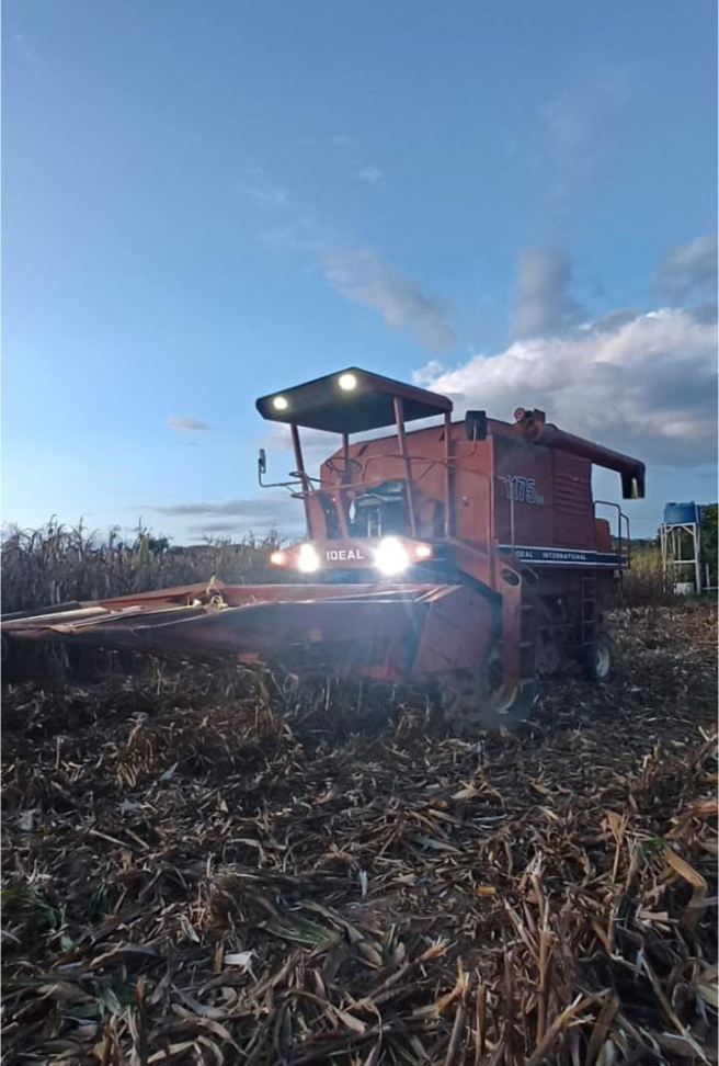 Colhedeira Ideal 1175ds