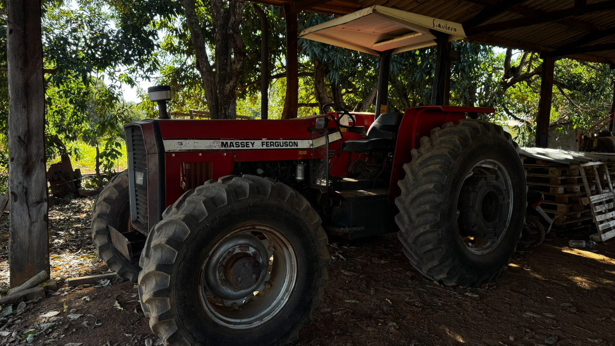 Trator Massey Ferguson 292 - #3
