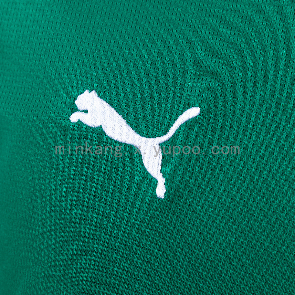 Camisa do Palmeiras temporada 2026/27 - #5