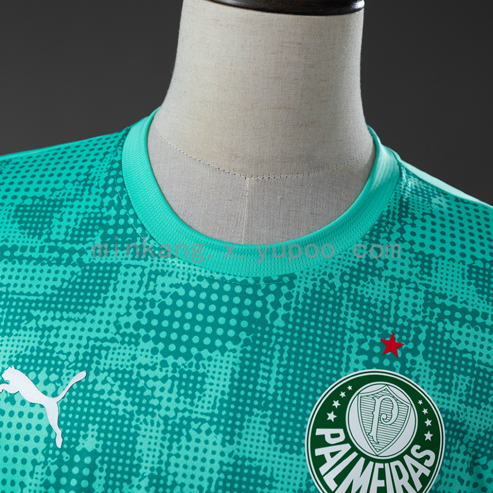 Camisa do Palmeiras treino 2026/27