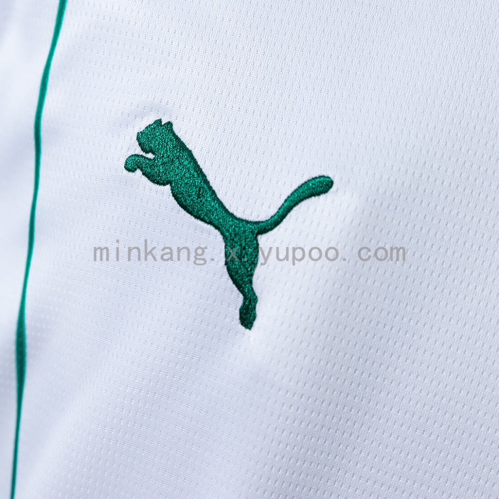 Camisa do Palmeiras temporada 2026/27 - #5