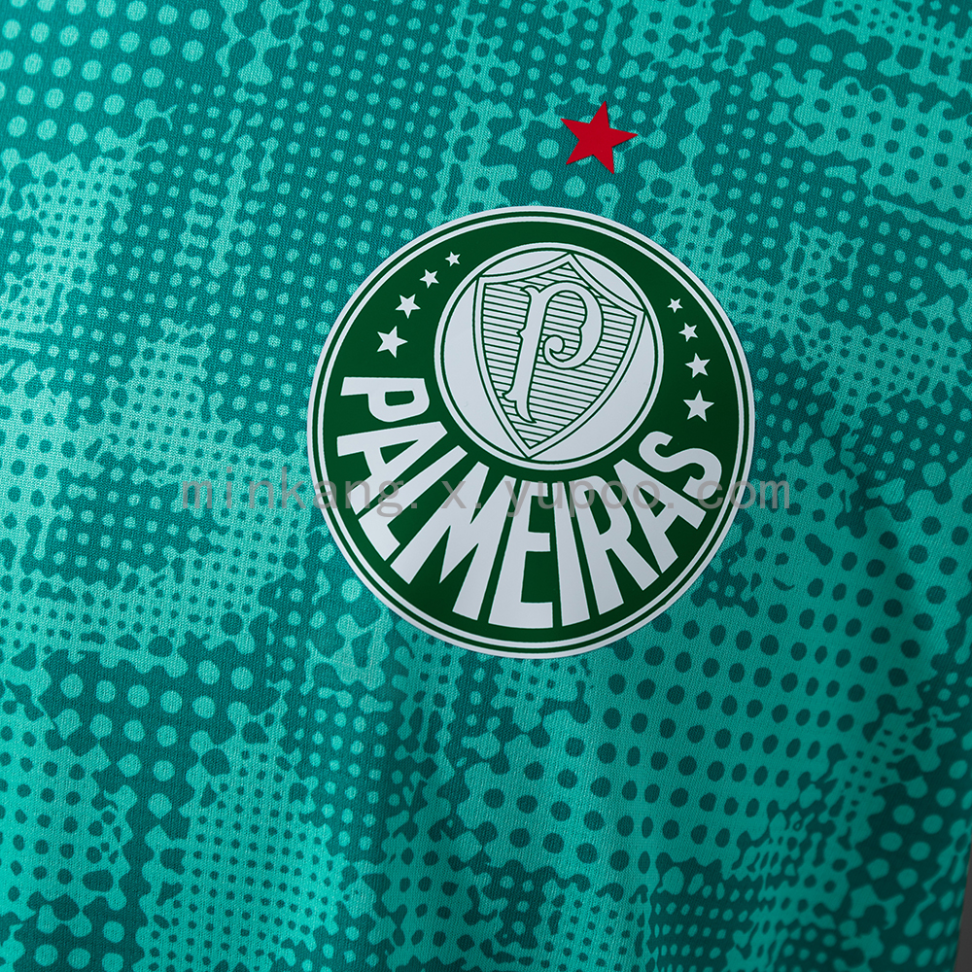 Camisa do Palmeiras treino 2026/27 - #4