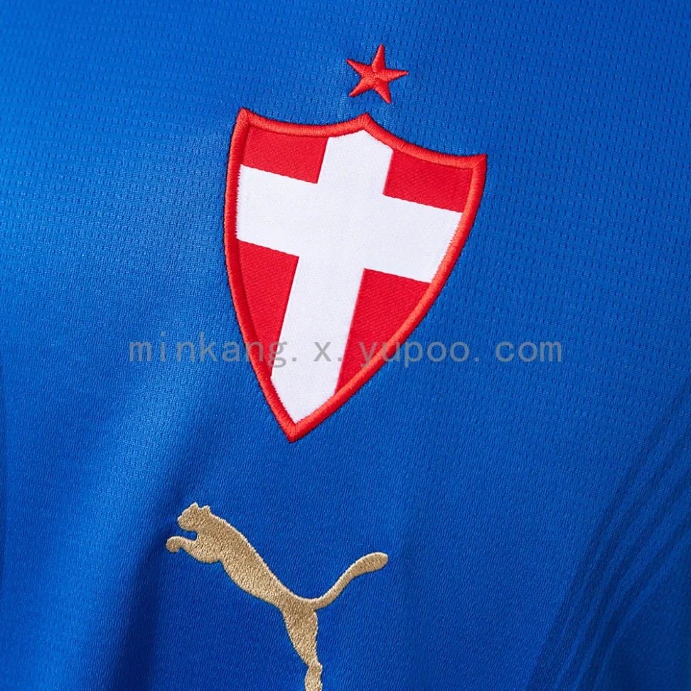Camisa reserva do Palmeiras temporada 2026/27 - #5