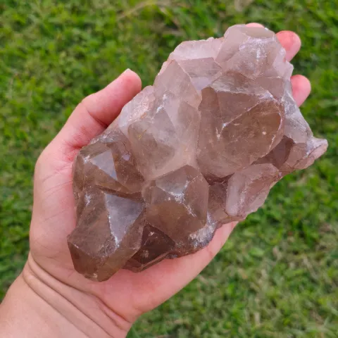 Drusa de Quartzo Fumê Rutilado