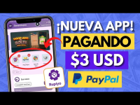app pagando no pix em dolar paypal