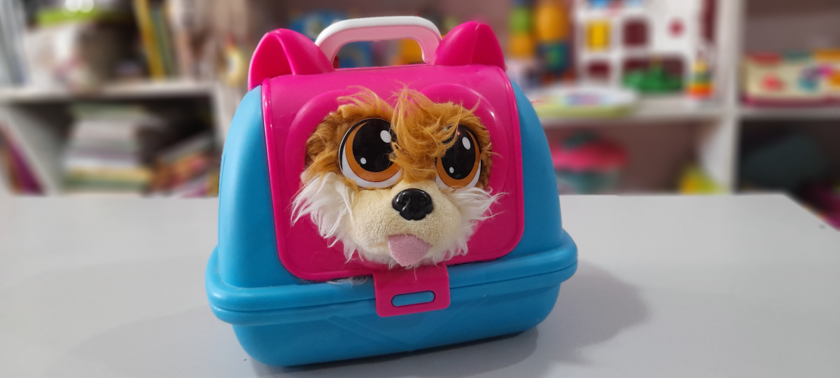 Cachorrinho e caixinha de transporte