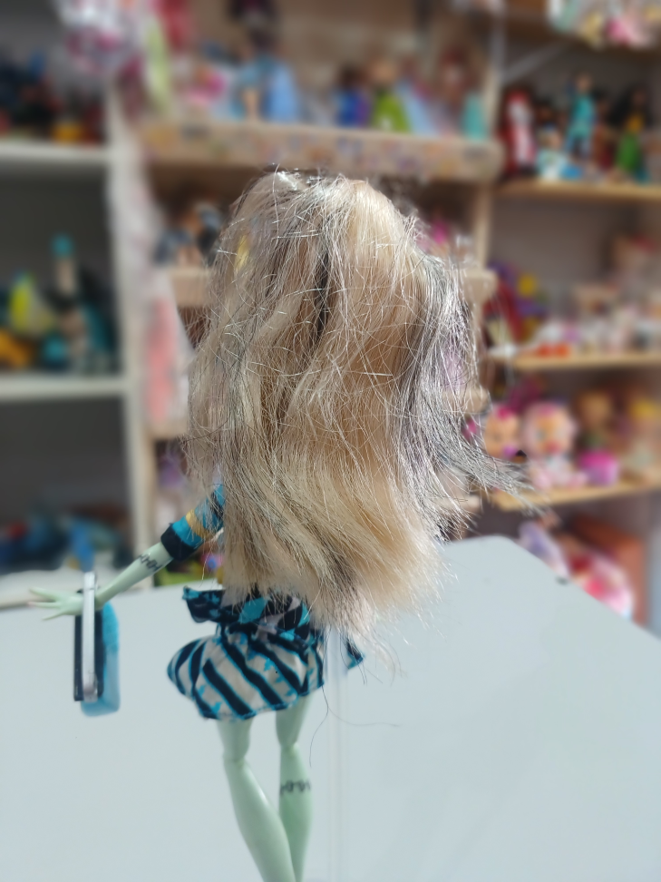Frankie Stein Picture Day Monster High - #4