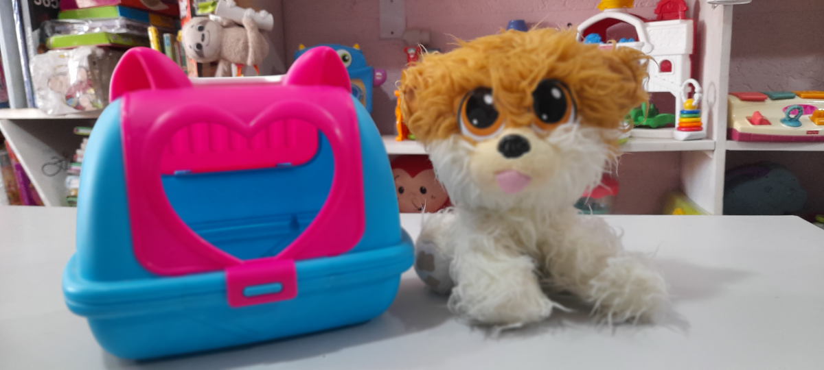 Cachorrinho e caixinha de transporte