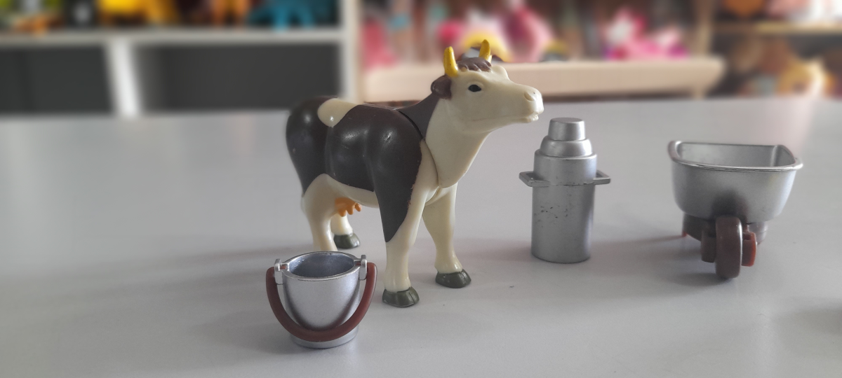 "Fazendinha" Simba