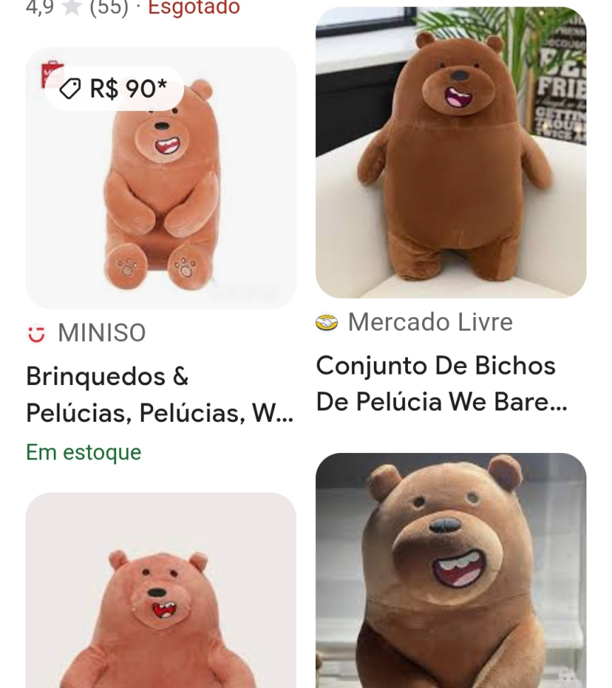 Pardo Urso sem curso - #3