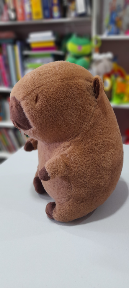 Capivara - #4