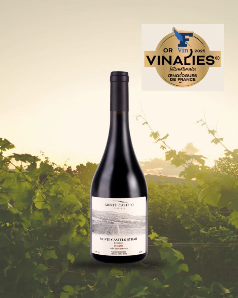 Monte Castelo Syrah Reserva 2022 - Vinho Goiano Premiado na França