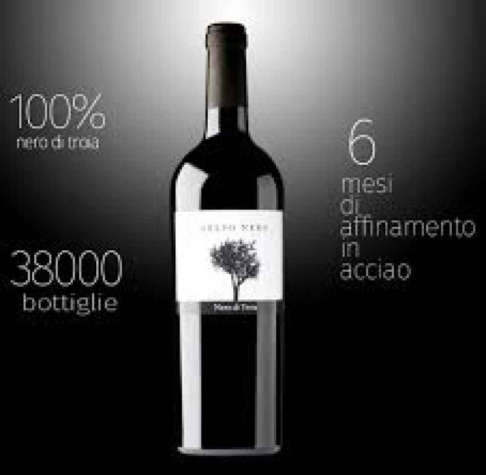 Gelso Nero di Troia IGT 2022 - Vinho Bio - #3