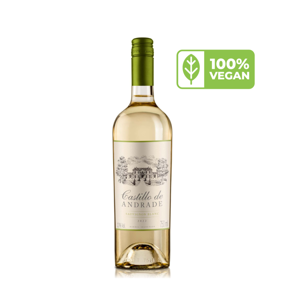 Castillo de Andrade Varietal Sauvignon Blanc 2023