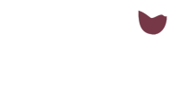 Amy Vinhos