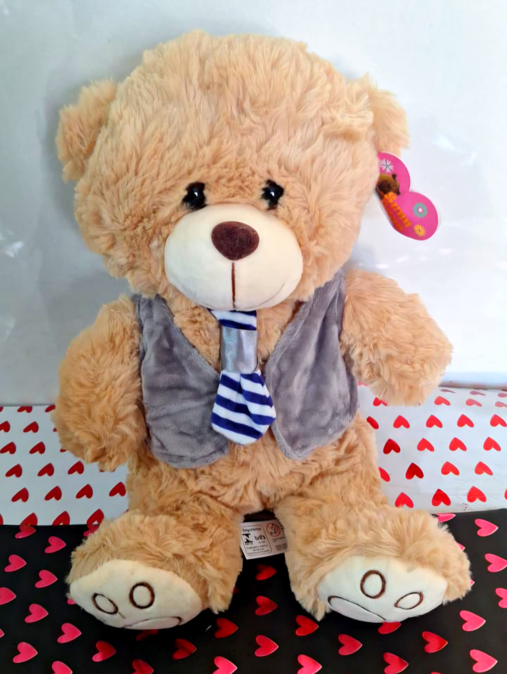 Ursinho com Camiseta - #3