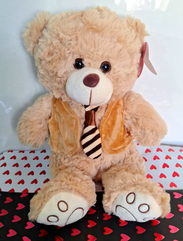 Ursinho com Camiseta - #2